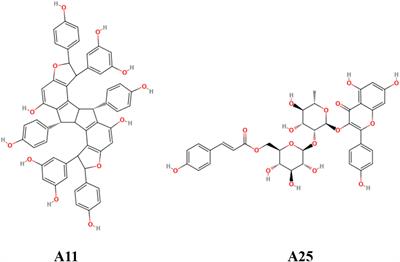 In Silico Discovery of Plant-Origin Natural Product Inhibitors of Tumor Necrosis Factor (TNF) and Receptor Activator of NF-κB Ligand (RANKL)